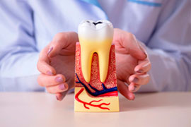 Periodontia