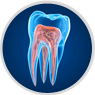 Endodontia