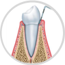 Periodontia